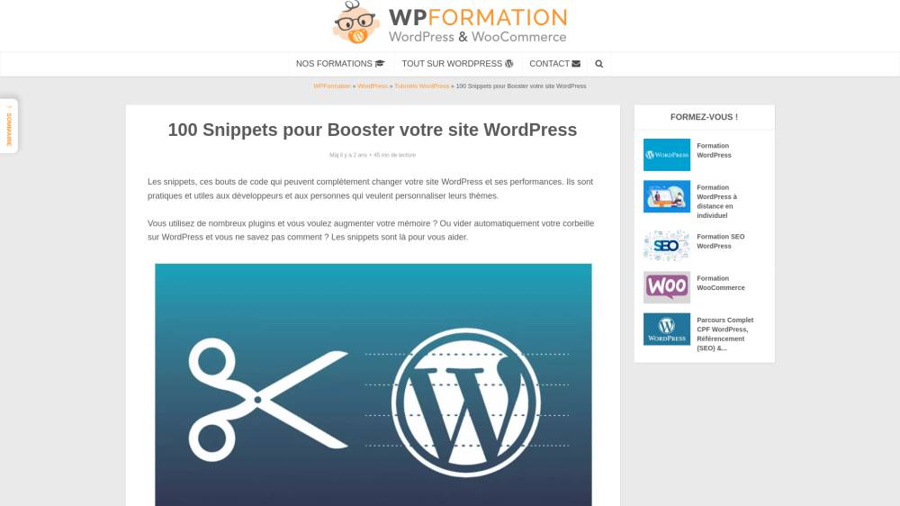 100 snippets Wordpress sur WpFormation.com
