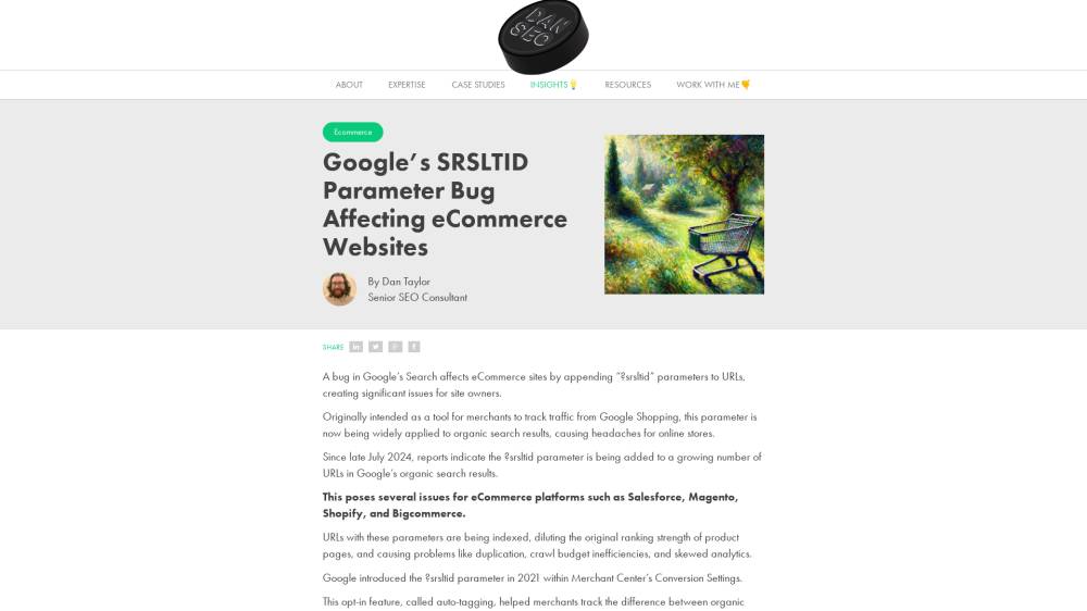 Bug Google : srsltid sur Dantaylor.online