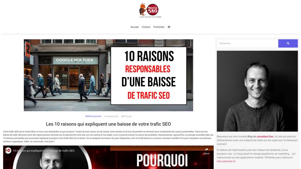 10 raisons pour expliquer une baisse de trafic sur Beetle-seo.com