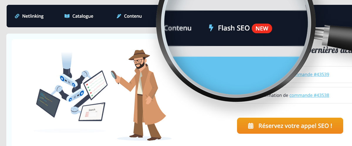 Flash SEO